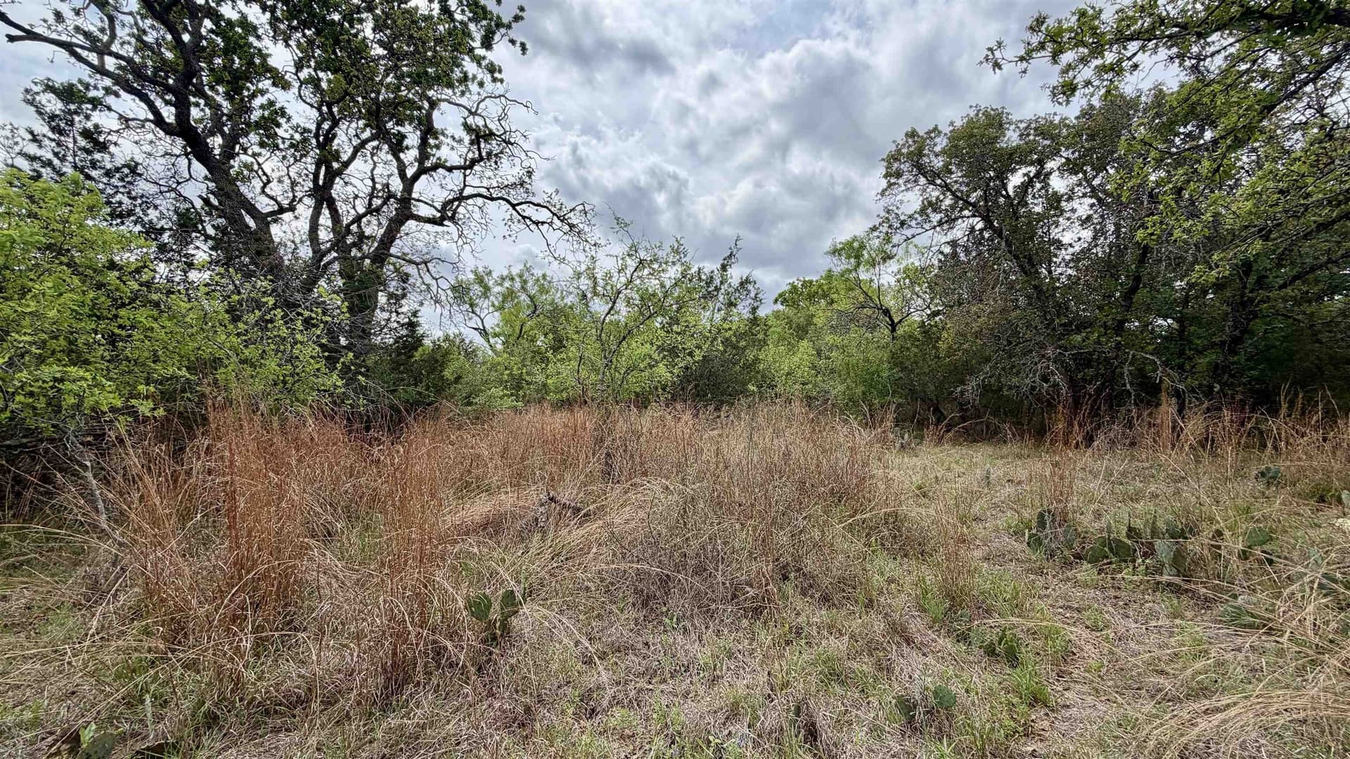 0.56 acres in Llano County gallery image 2