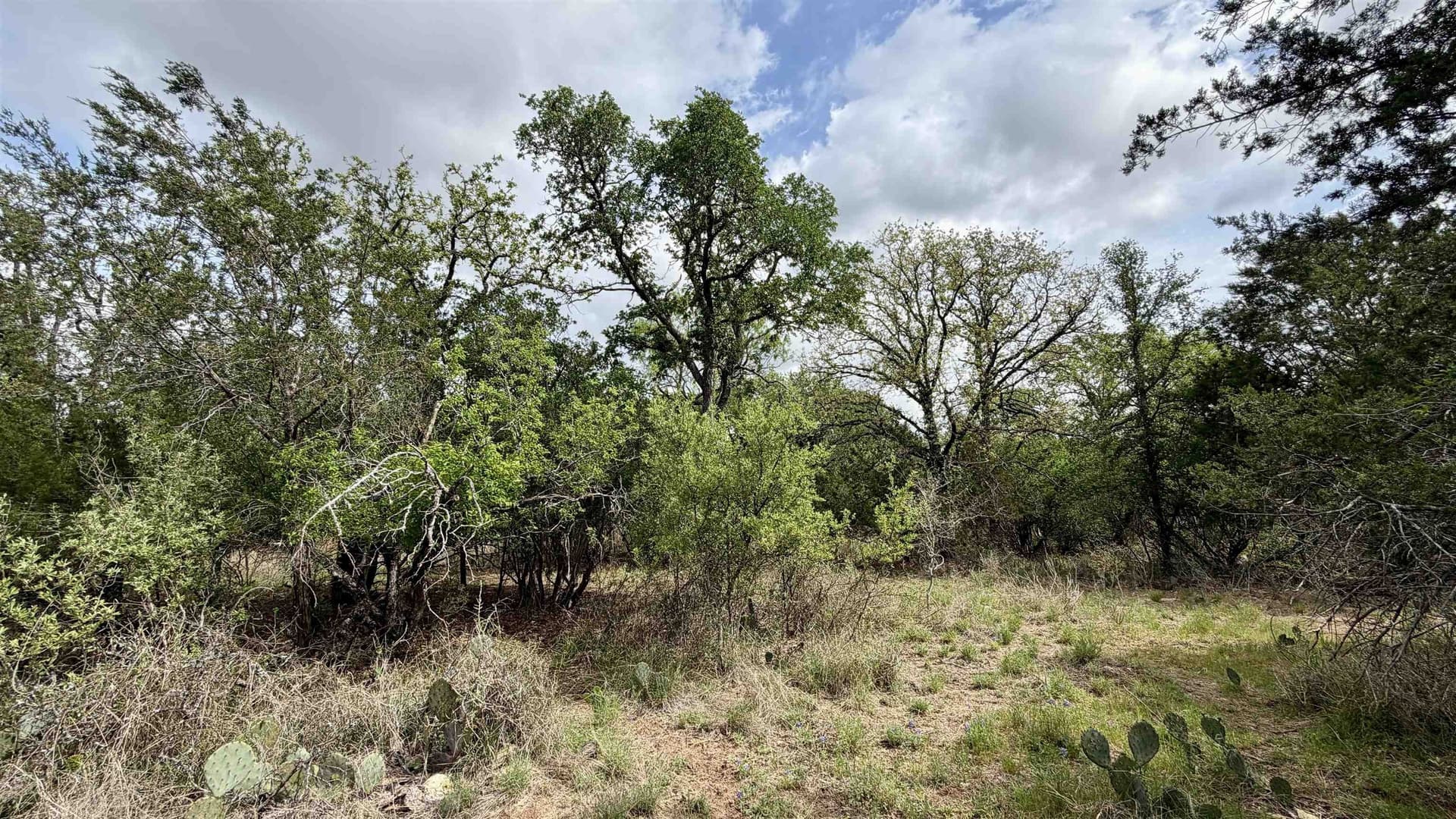 0.56 acres in Llano County - photo 21