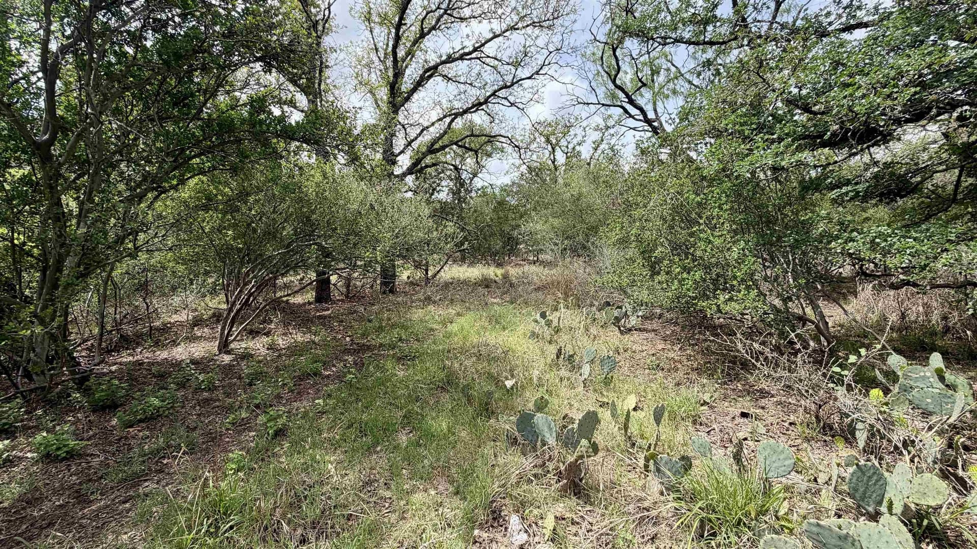 0.56 acres in Llano County - photo 16