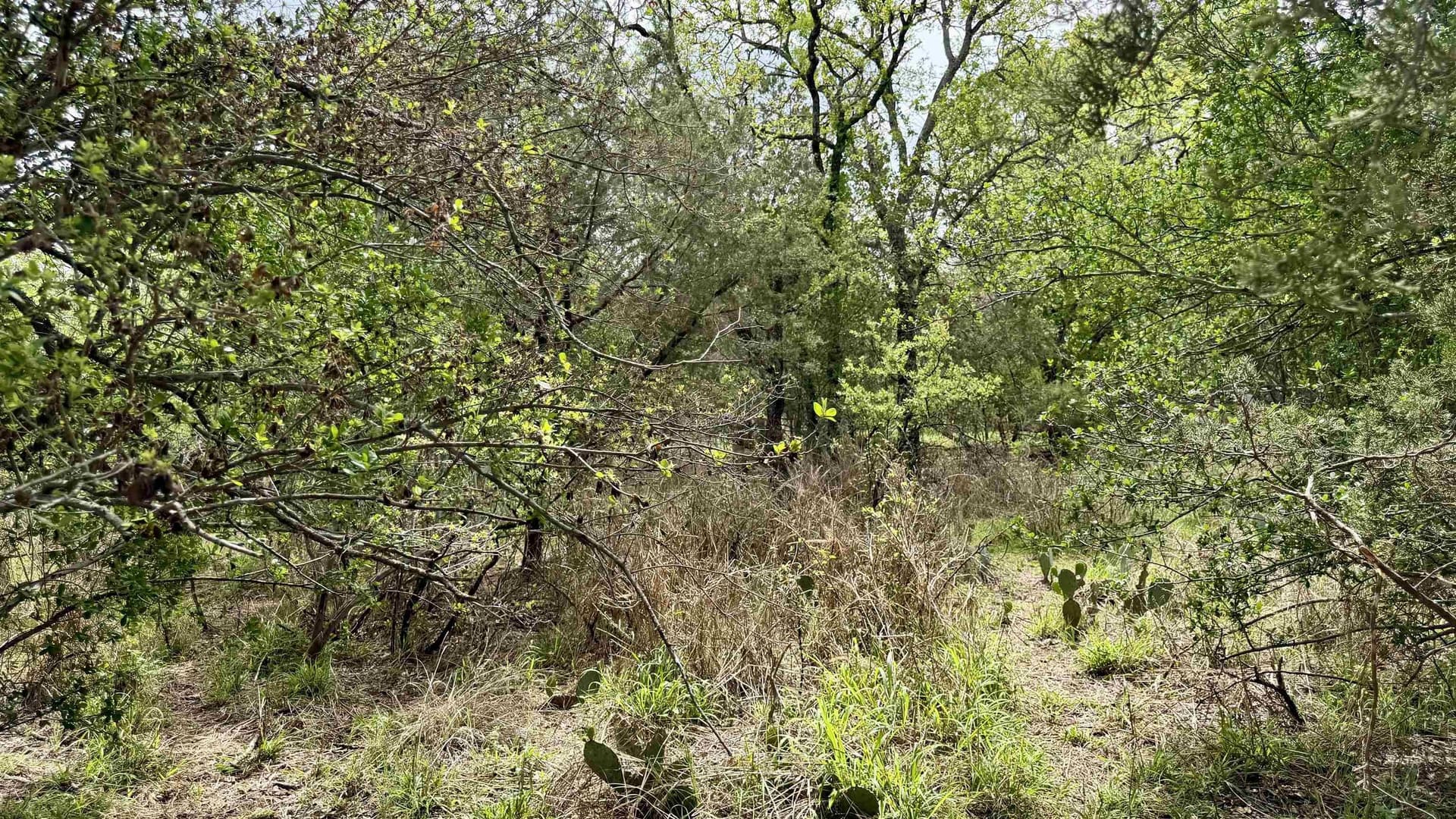 0.56 acres in Llano County - photo 10