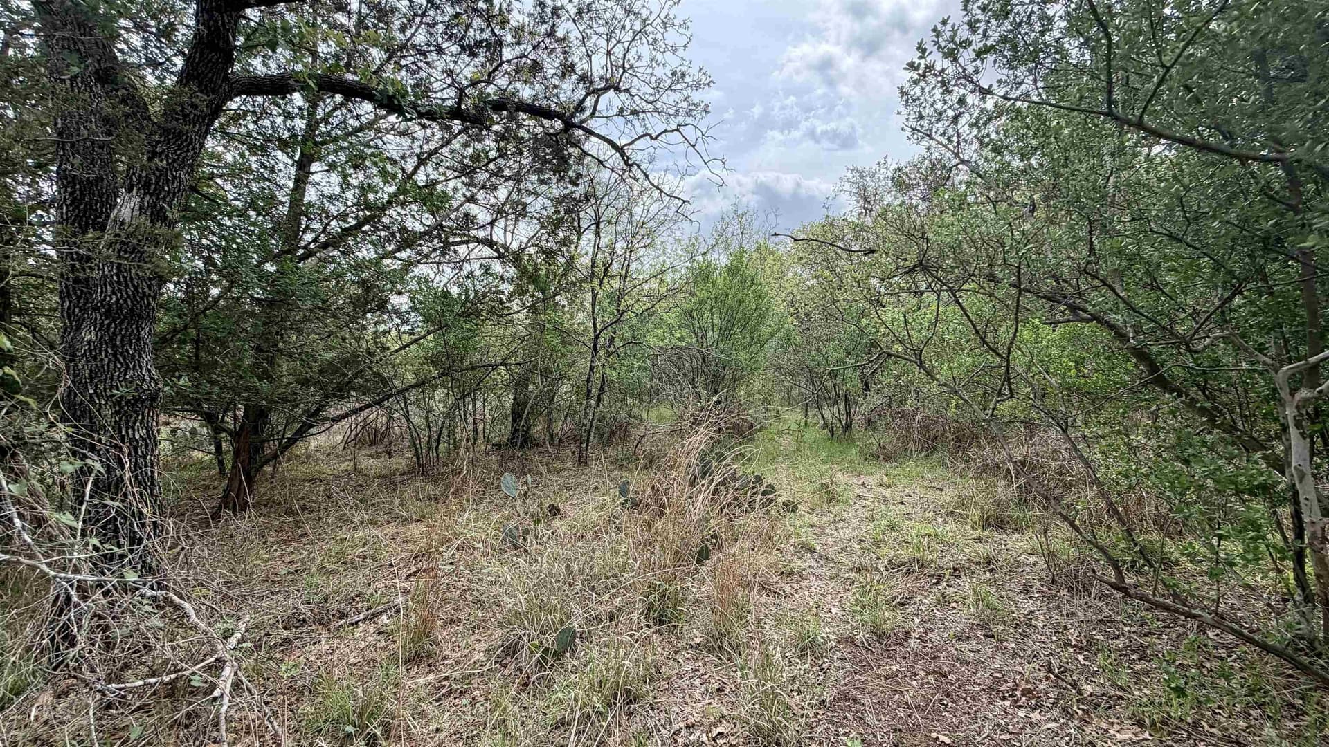 0.56 acres in Llano County - photo 7