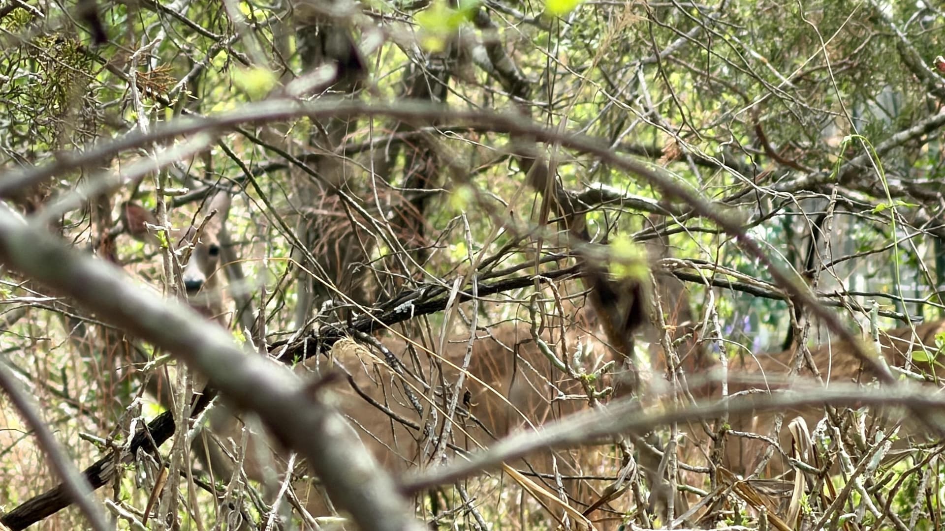 0.56 acres in Llano County - photo 13