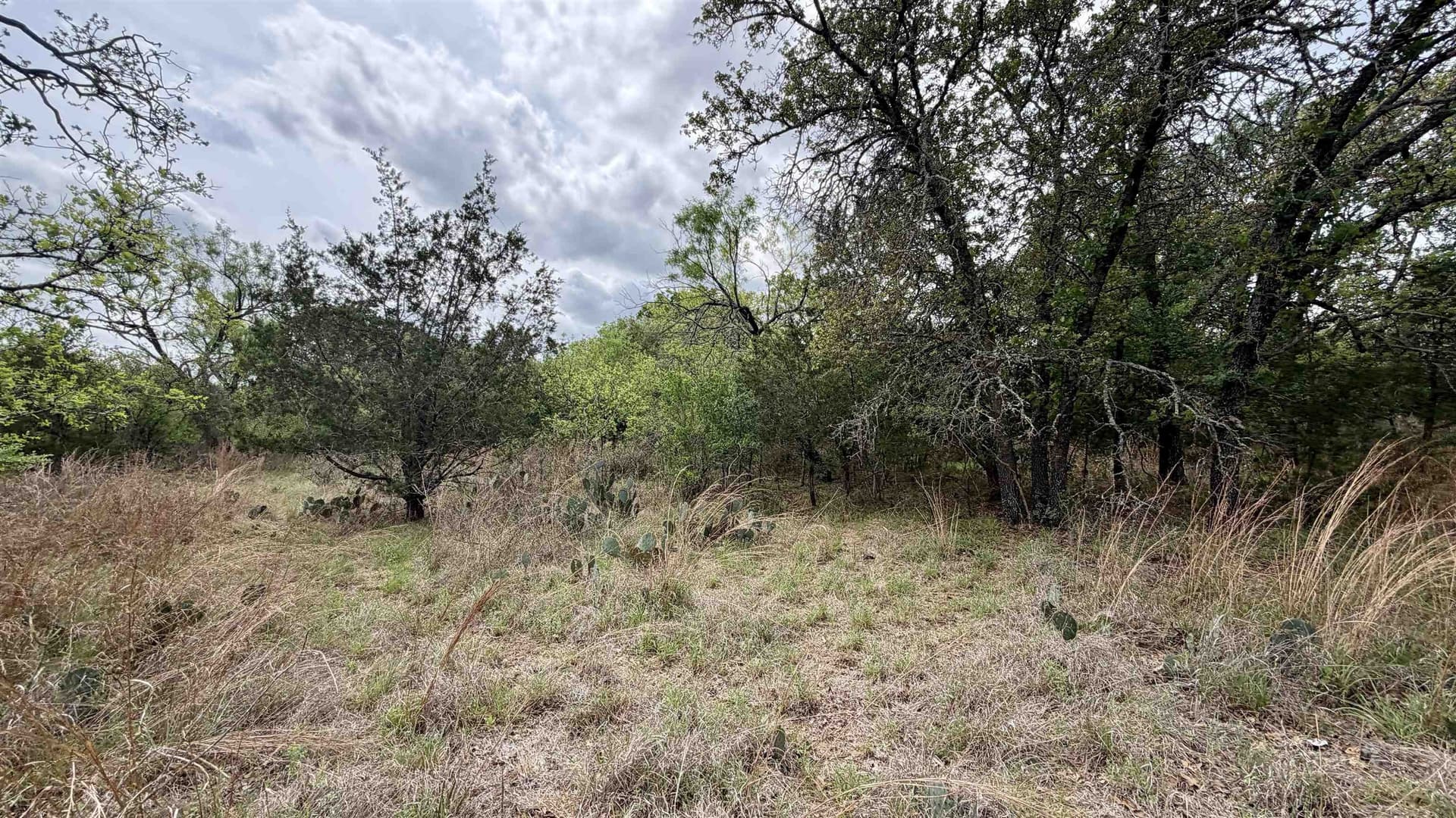 0.56 acres in Llano County gallery image 3