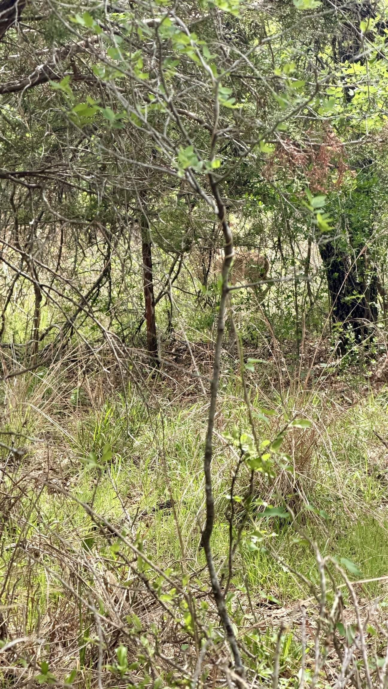 0.56 acres in Llano County - photo 15
