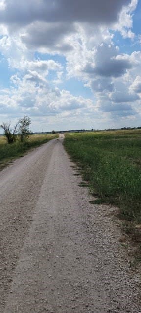 5 acres in Texas County gallery image 4