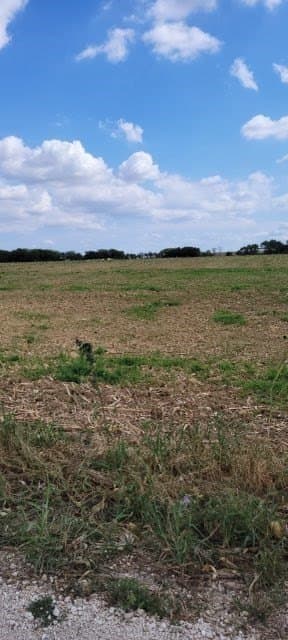 5 acres in Texas County gallery image 2