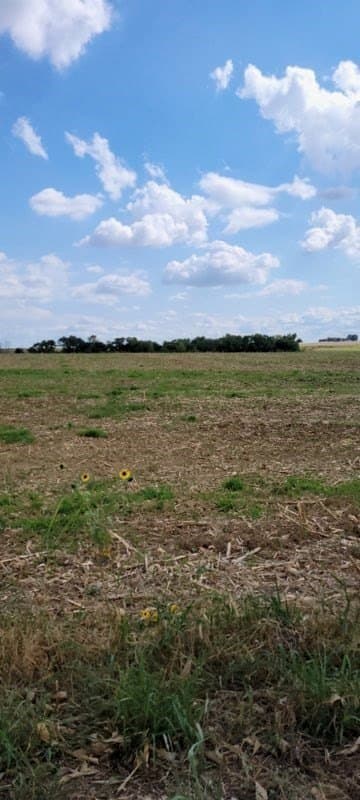 5 acres in Texas County featured view