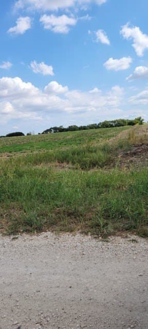 5 acres in Texas County gallery image 3