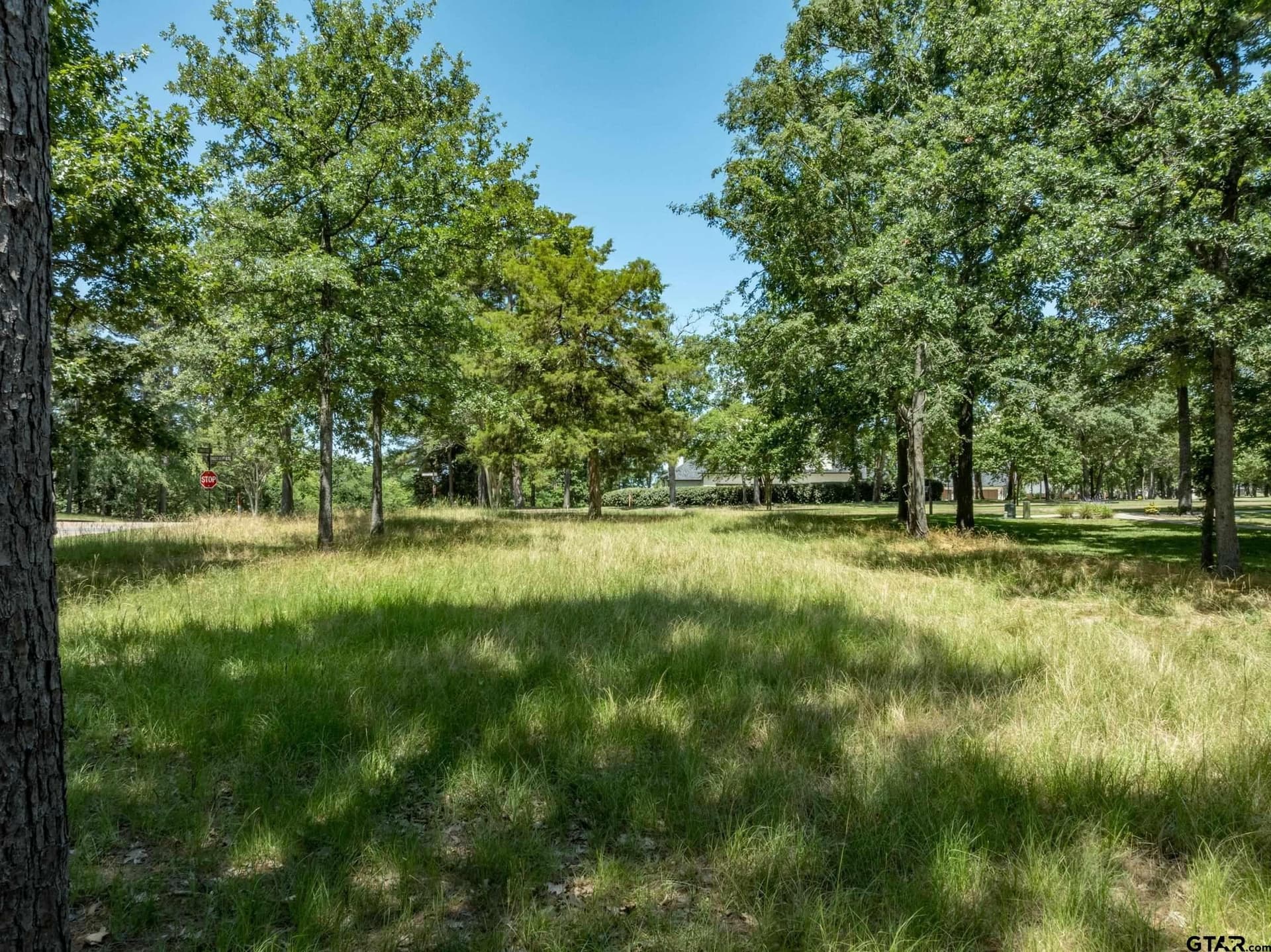 0.27 acres in Cherokee County gallery image 4