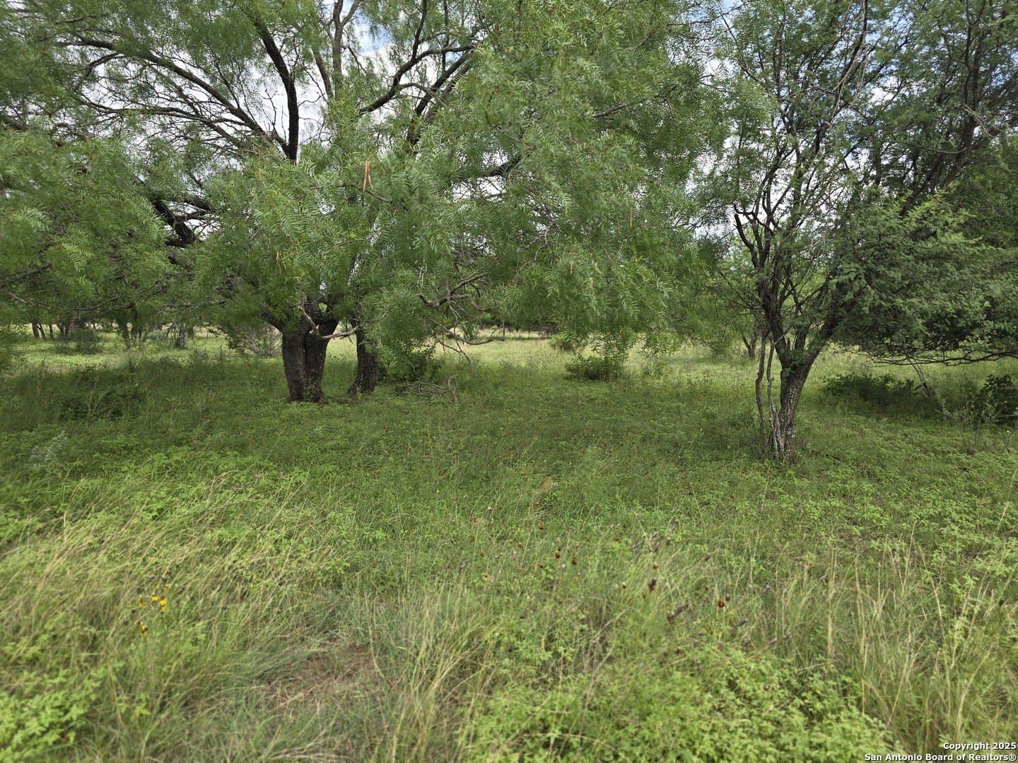 0.32 acres in Bandera County gallery image 4