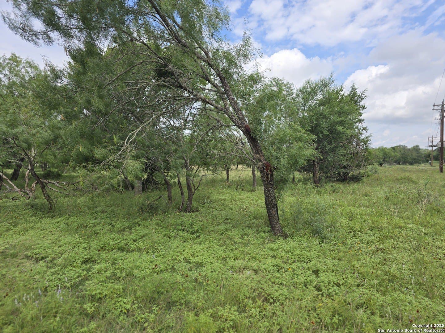 0.32 acres in Bandera County featured view