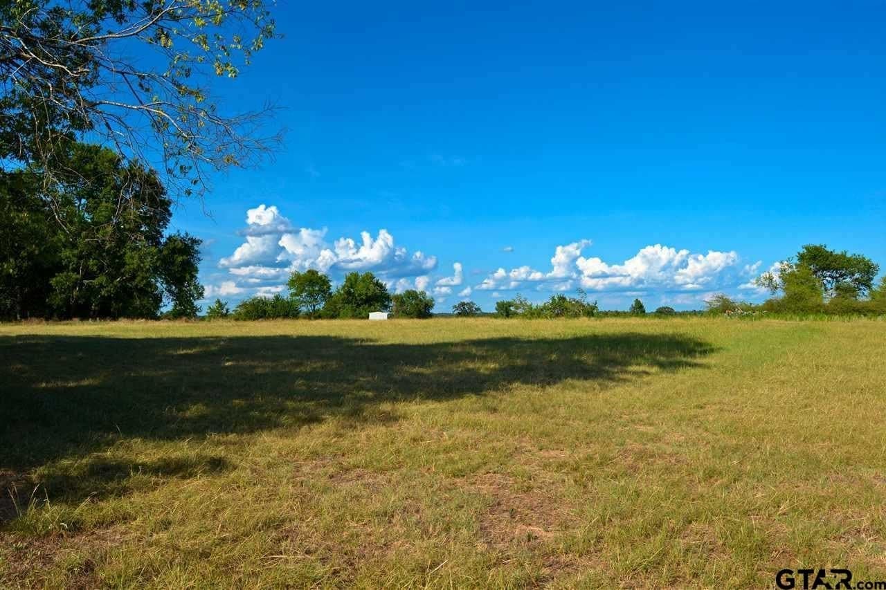33.6 acres in Titus County