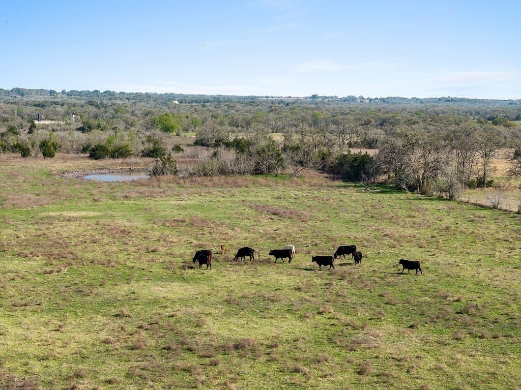 63.47 acres in Fayette County - photo 6