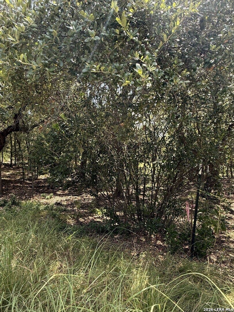 1.5 acres in Bexar County - photo 10
