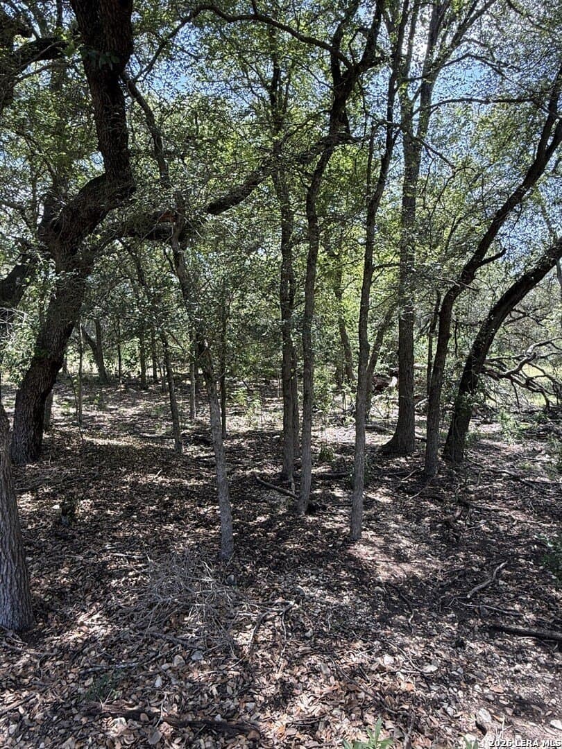 1.5 acres in Bexar County - photo 9