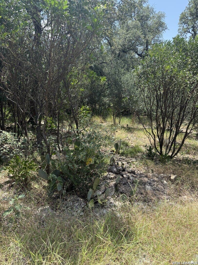 1.5 acres in Bexar County - photo 6