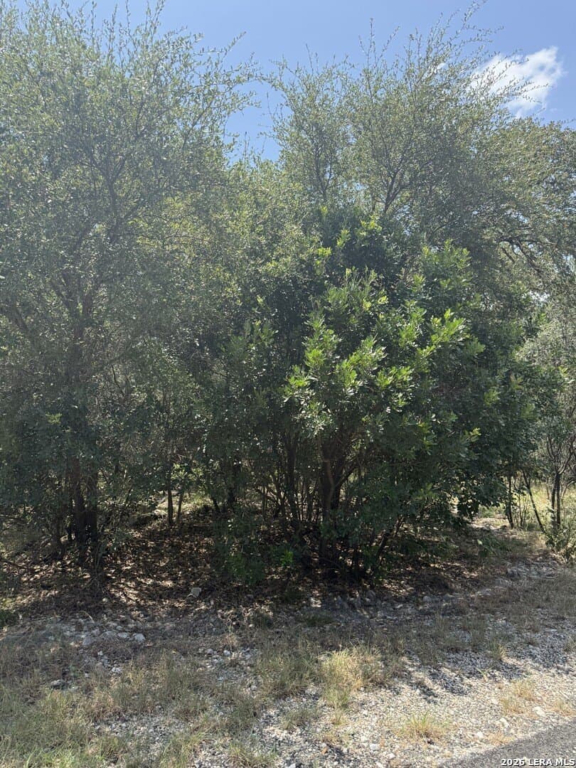 1.5 acres in Bexar County - photo 7