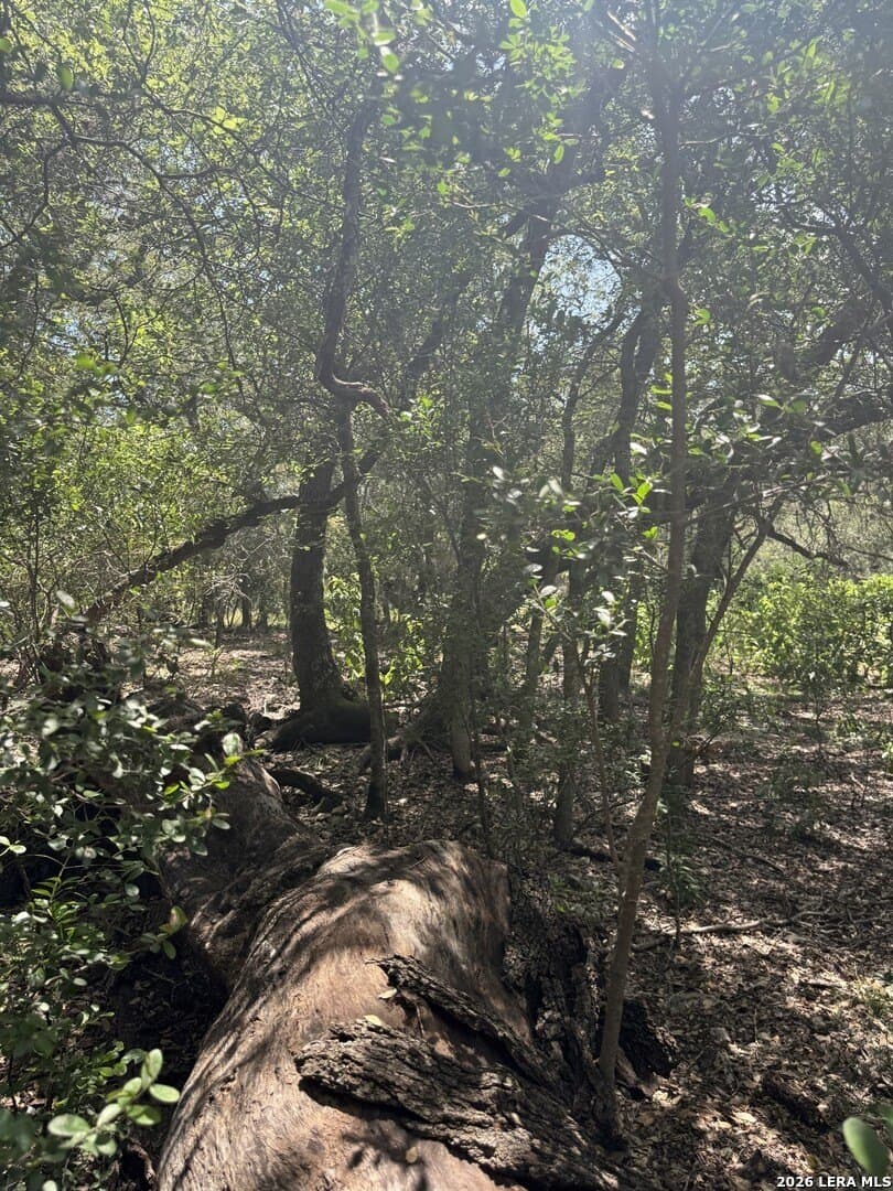 1.5 acres in Bexar County - photo 5