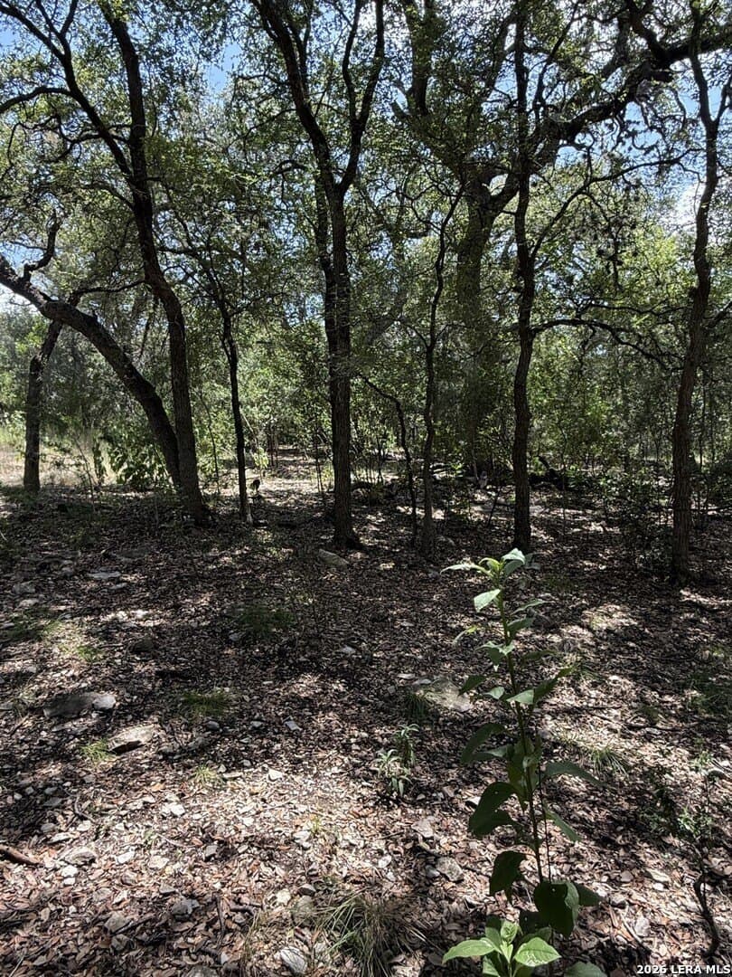 1.5 acres in Bexar County - photo 8