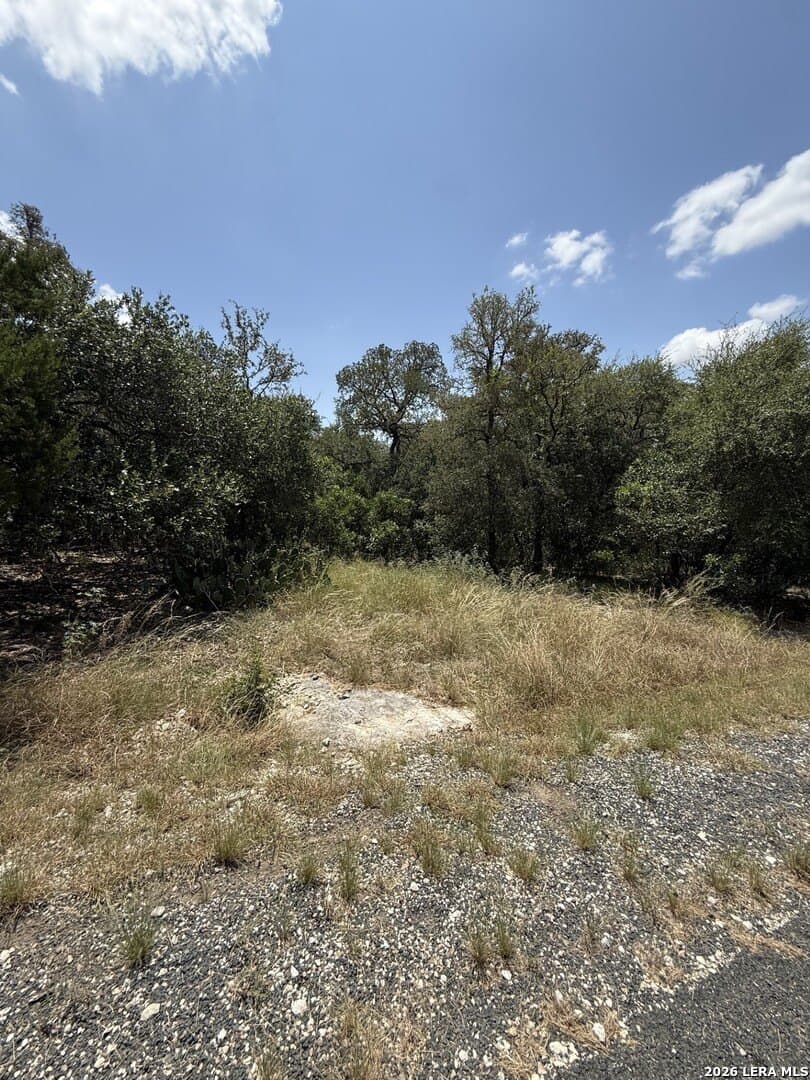1.5 acres in Bexar County - photo 4