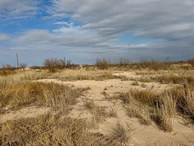 49.39 acres in Pecos County gallery image 3