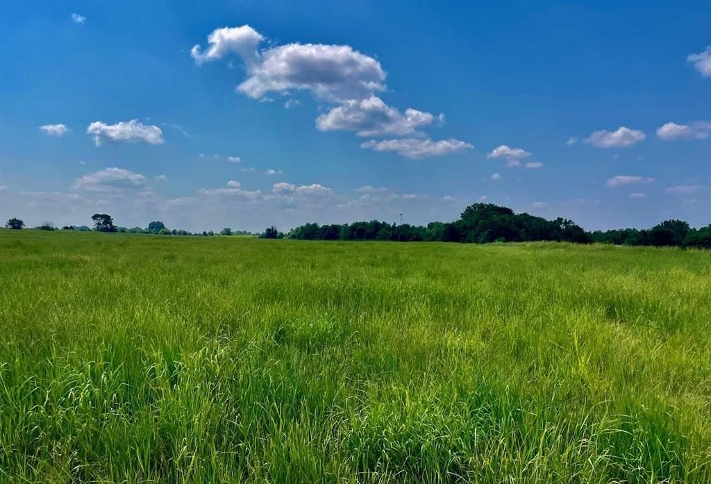 39.37 acres in Fannin County featured view