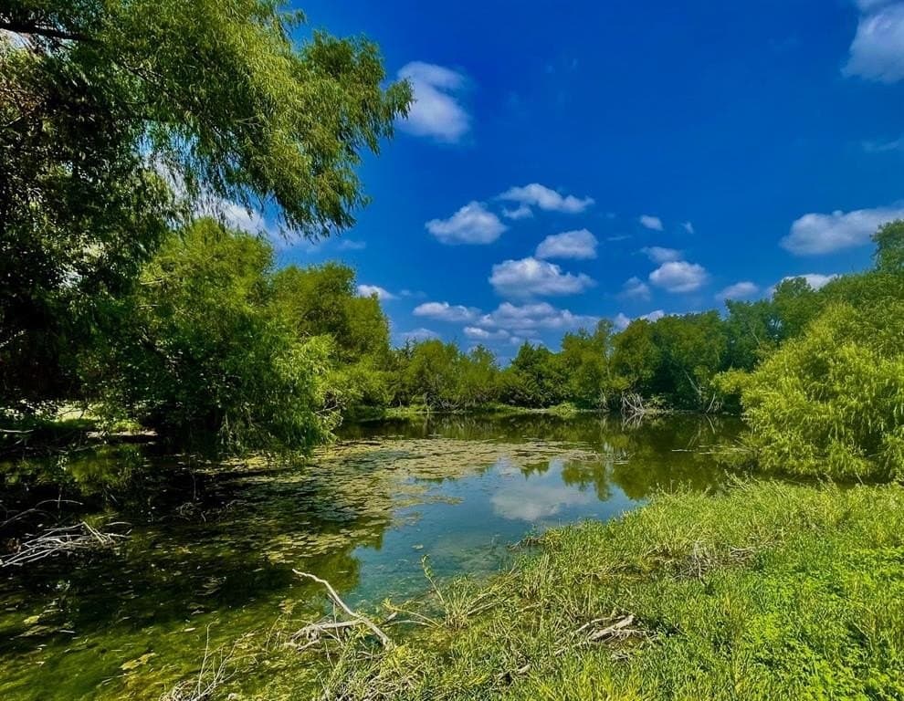 39.37 acres in Fannin County gallery image 3