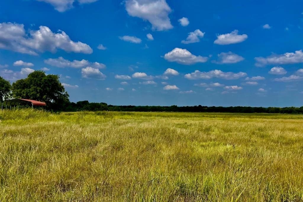 39.37 acres in Fannin County gallery image 2