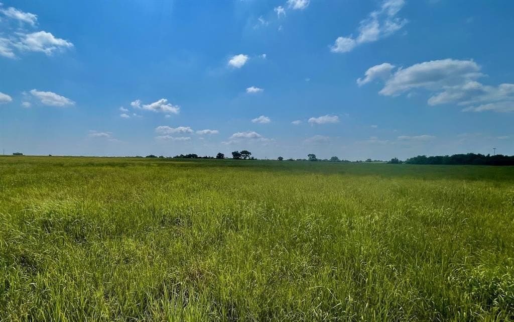 39.37 acres in Fannin County gallery image 4
