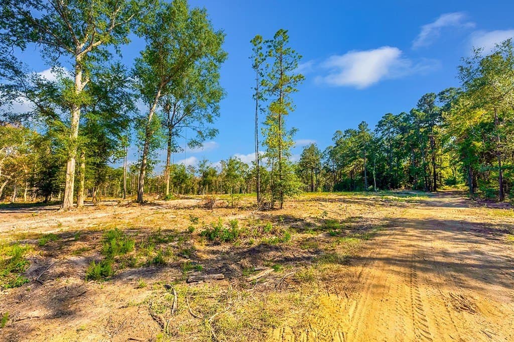 10 acres in Texas County - photo 20