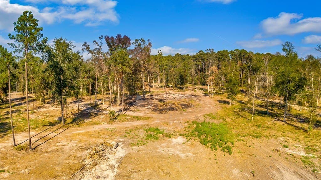 10 acres in Texas County - photo 7