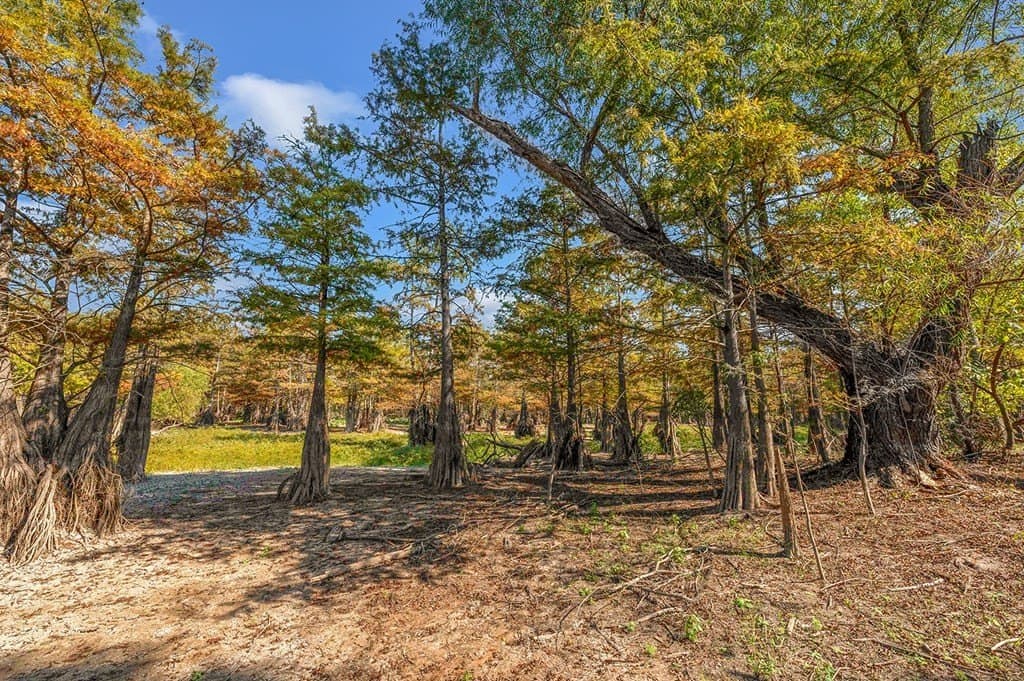 10 acres in Texas County - photo 14