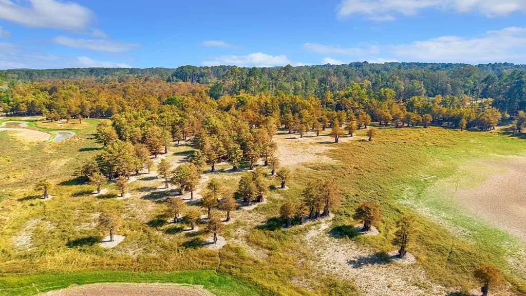 10 acres in Texas County - photo 11