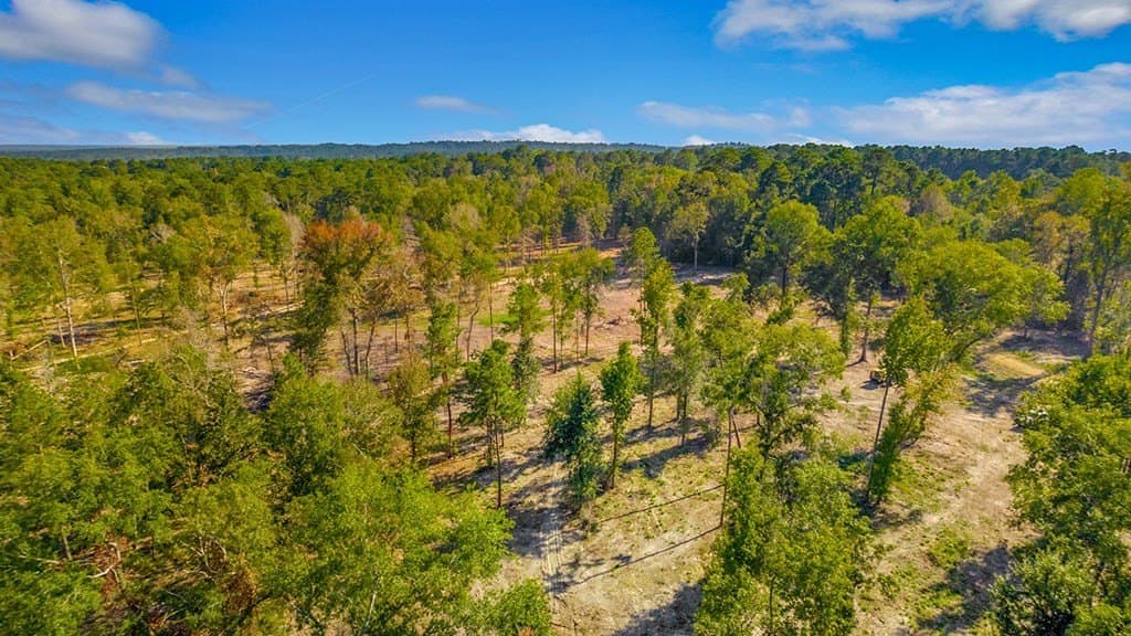 10 acres in Texas County - photo 13