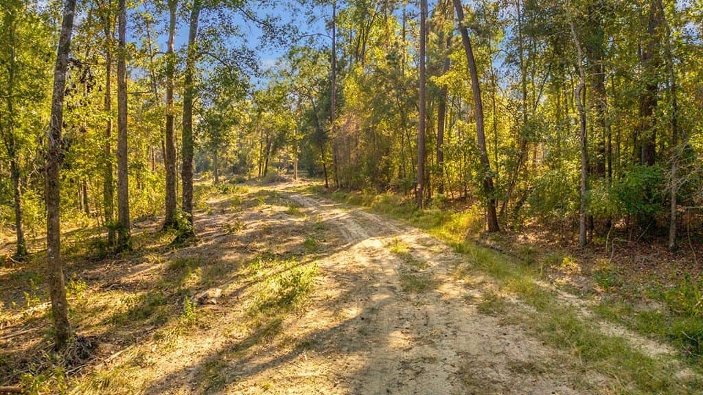 10 acres in Texas County - photo 8