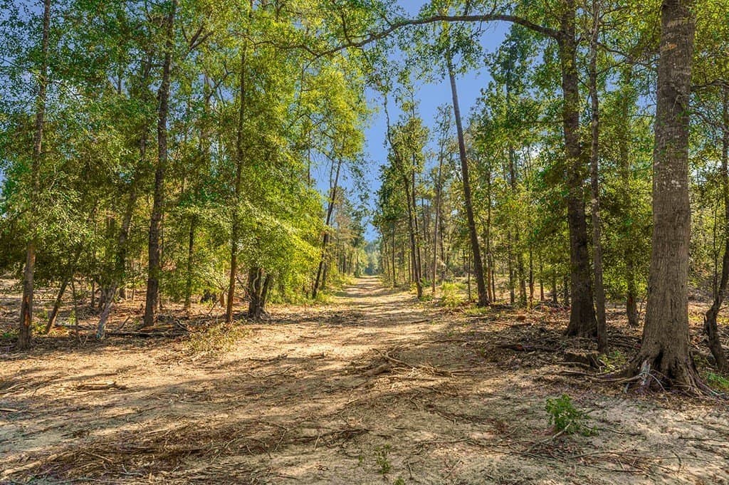 10 acres in Texas County - photo 18