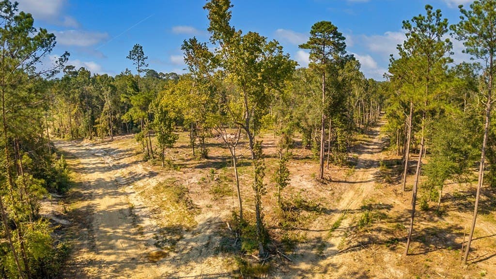 10 acres in Texas County - photo 9