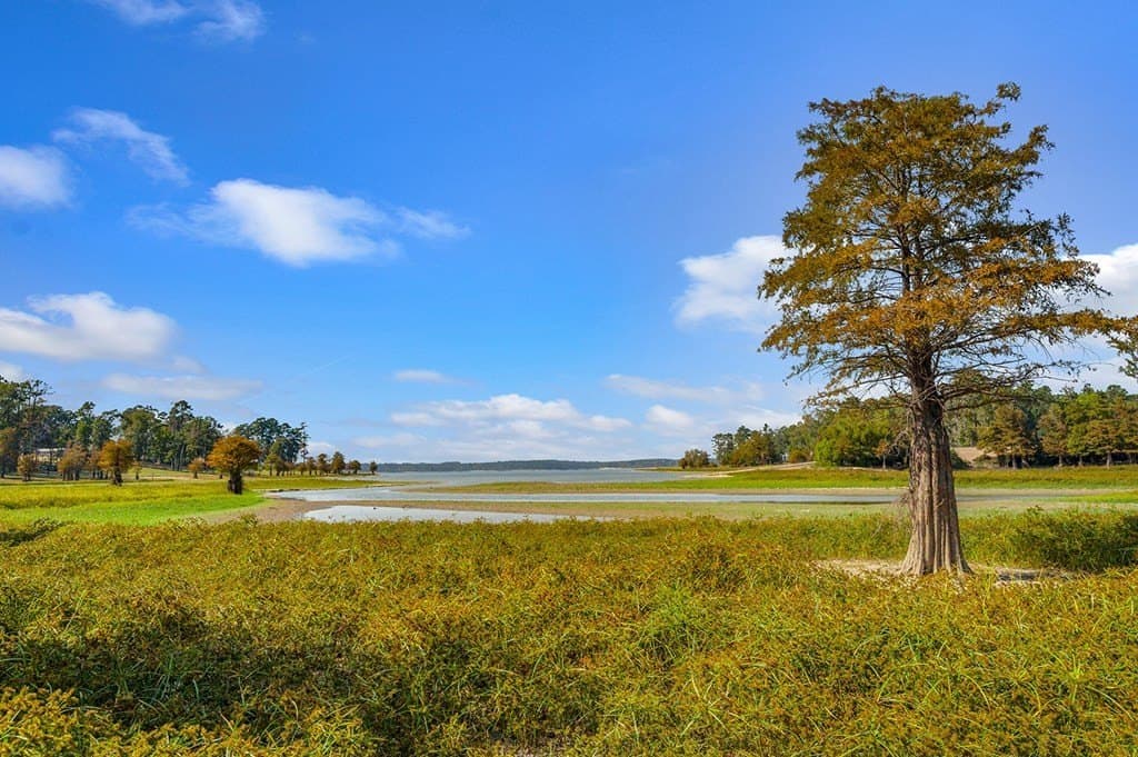 10 acres in Texas County - photo 16