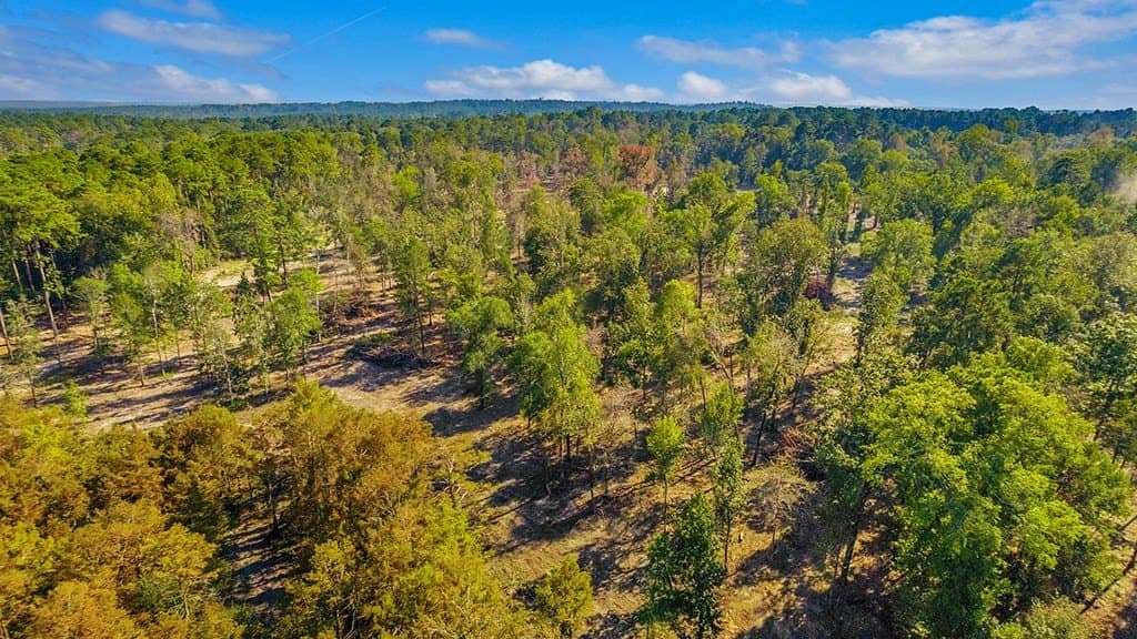 10 acres in Texas County - photo 12