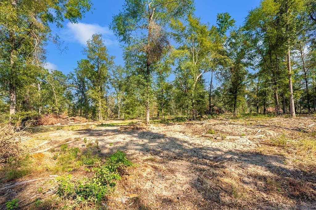 10 acres in Texas County - photo 19