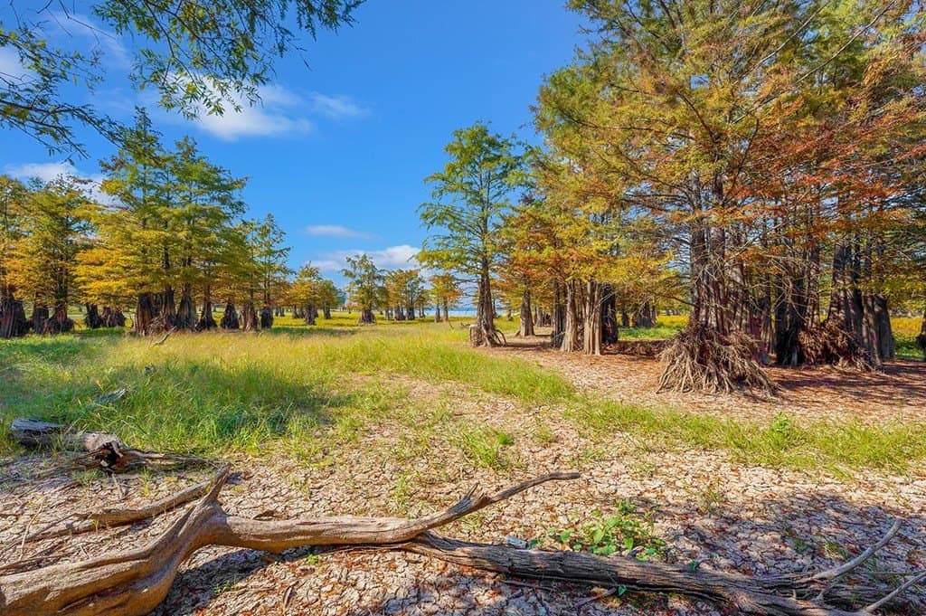10 acres in Texas County - photo 15