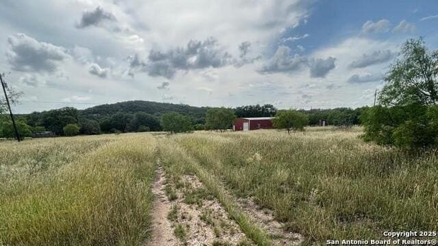 21.77 acres in Medina County gallery image 4