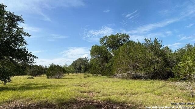 21.77 acres in Medina County gallery image 3