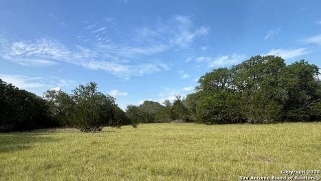 21.77 acres in Medina County gallery image 2