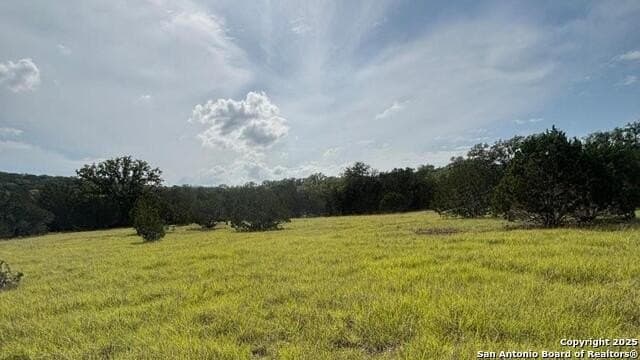 21.77 acres in Medina County featured view