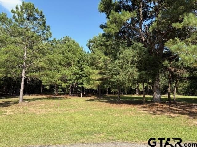 0.45 acres in Wood County gallery image 2