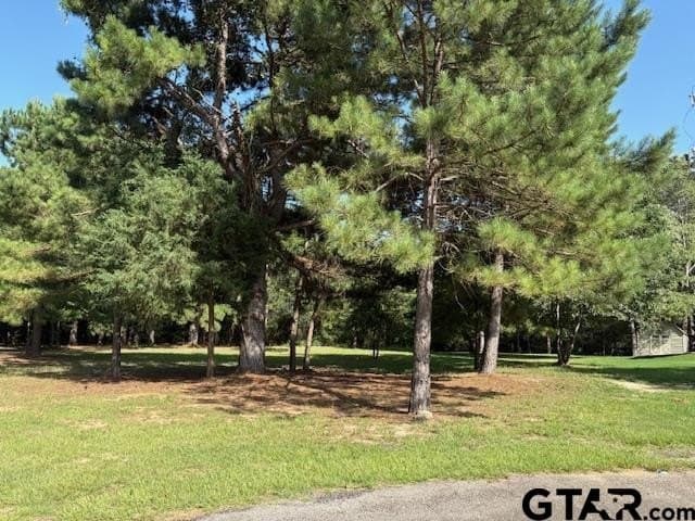 0.45 acres in Wood County gallery image 3