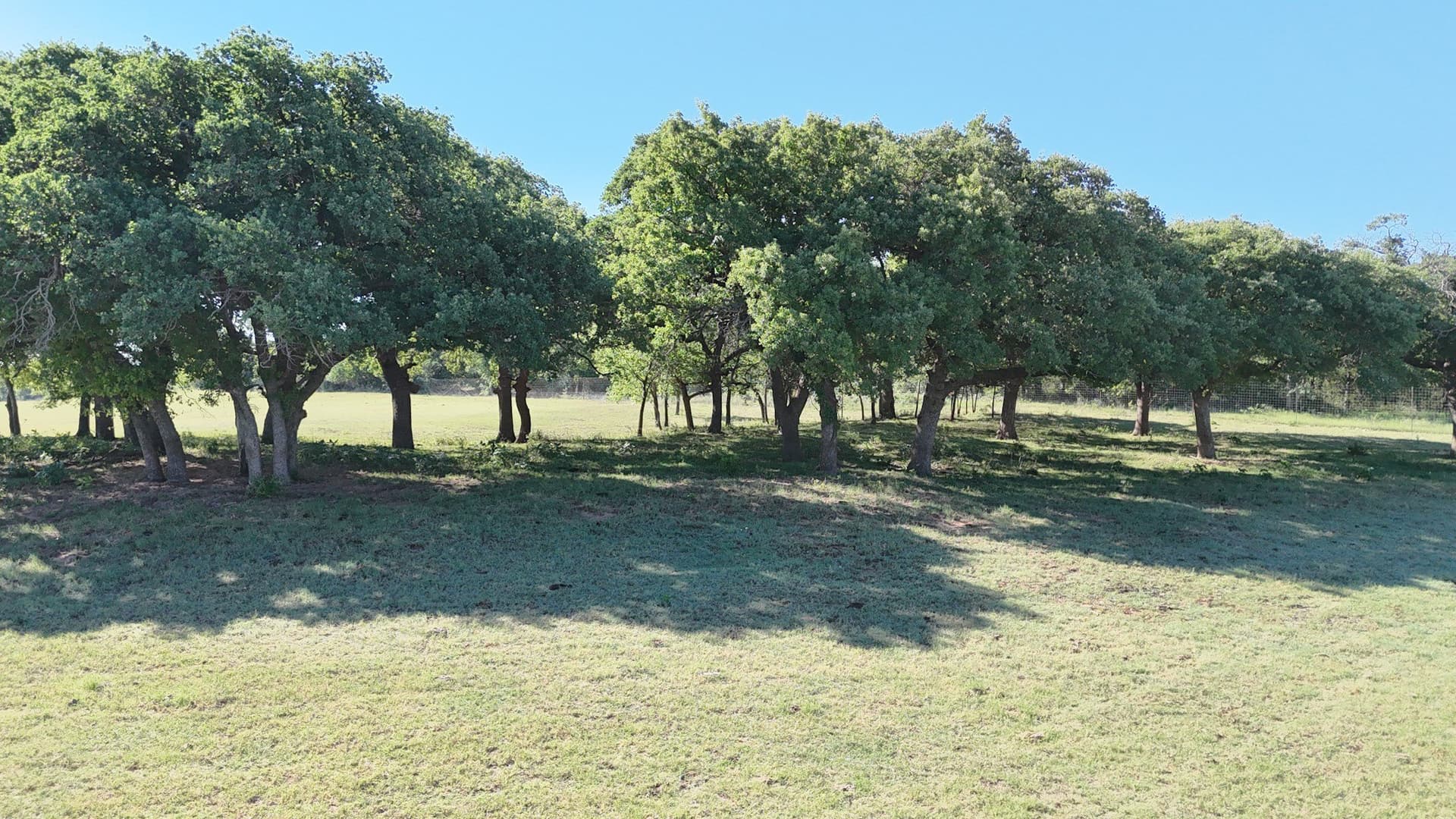207.3 acres in Comanche County - photo 2
