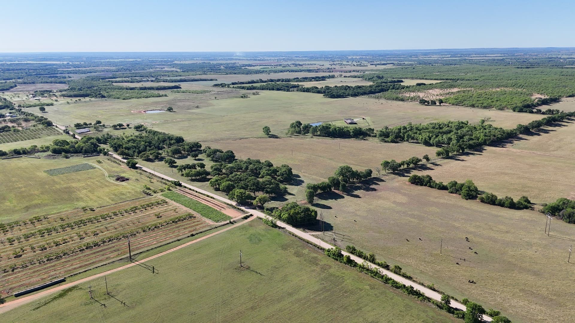 207.3 acres in Comanche County - photo 5