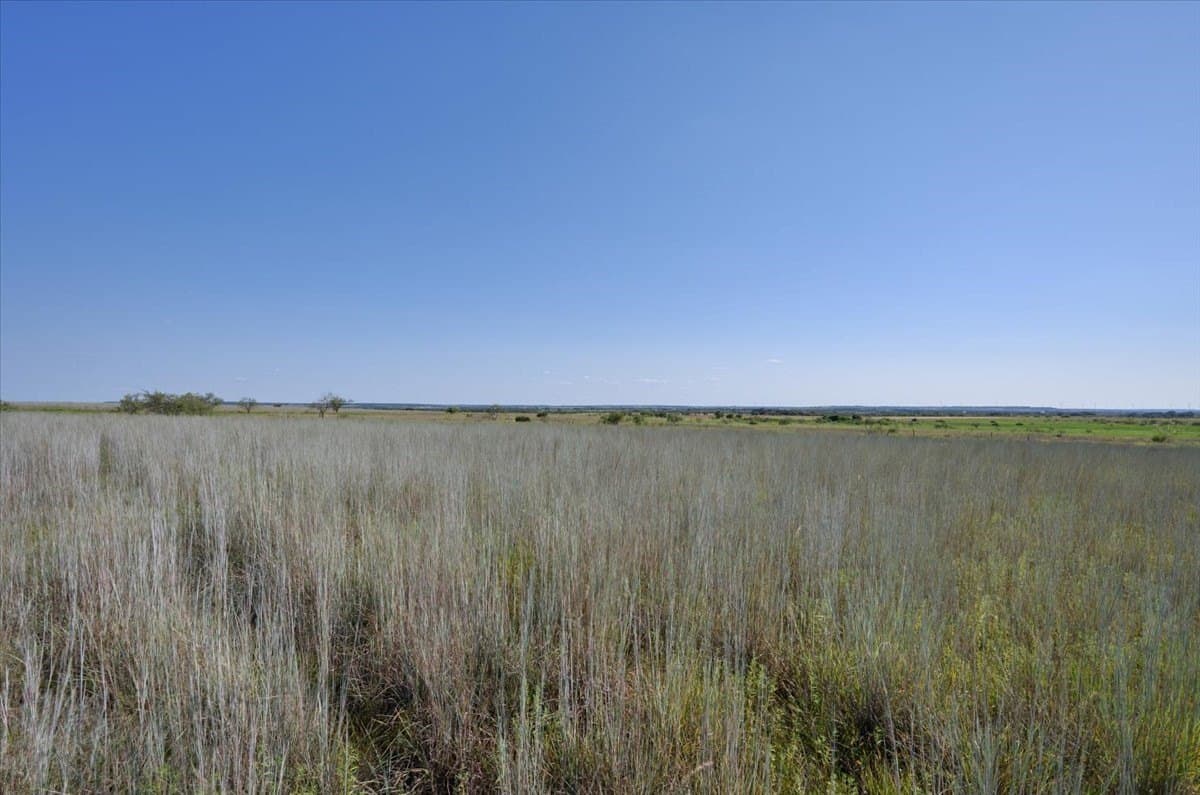 30.24 acres in Hamilton County - photo 12
